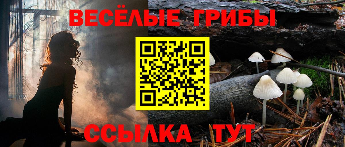 Псилоцибиновые грибы мицелий  Псилоцибиновые грибы Psilocybe  Черняховск  Вход с VPN 